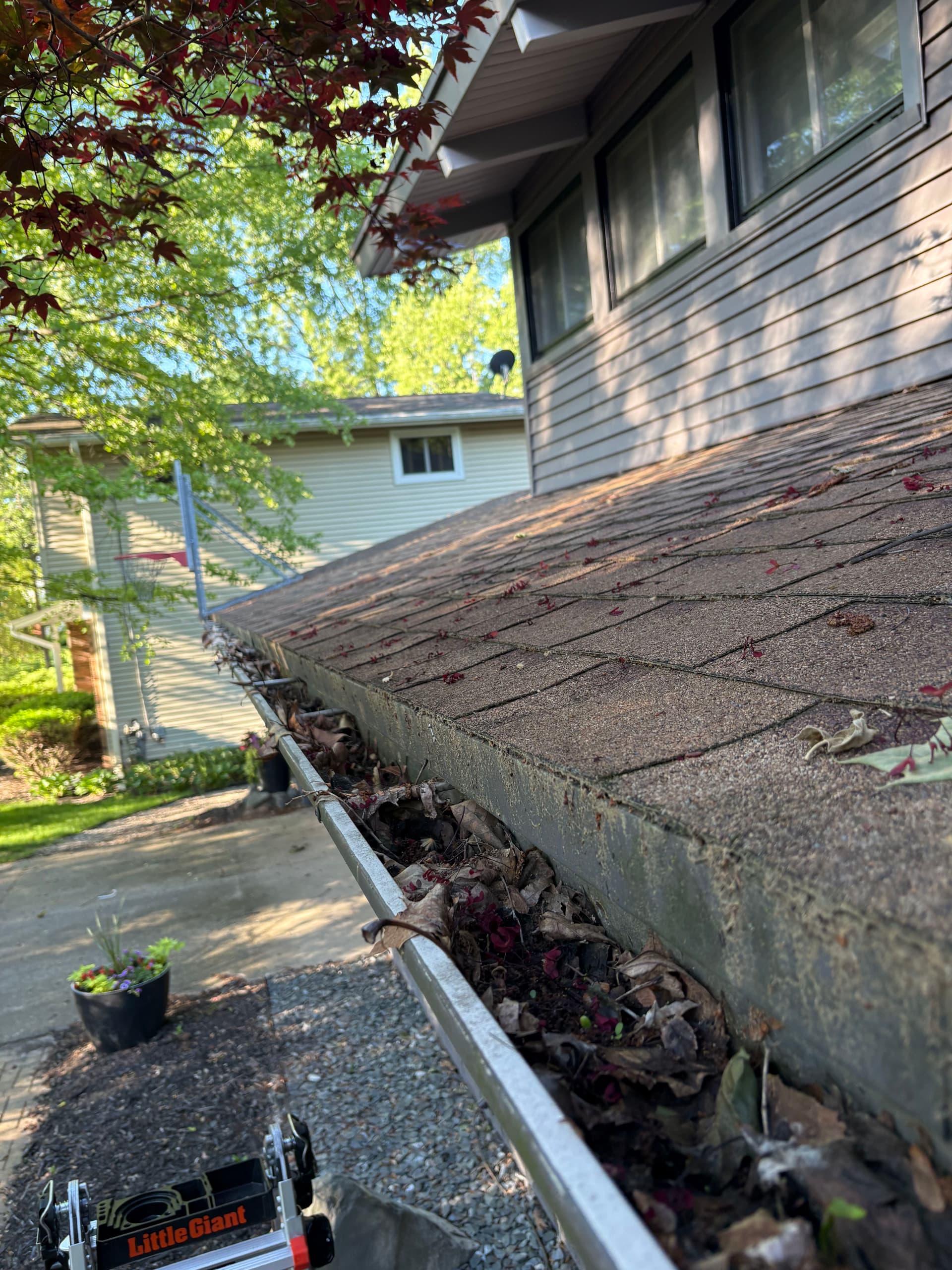 Gutter Cleaning Done Right in East Grand Rapids image